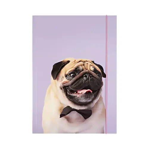 folia Pochette de rangement &agrave; dessins BASIC 'Puggy Love', A3 photo du produit