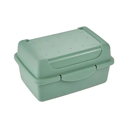keeeper Bo&icirc;te &agrave; go&ucirc;ter 'luca', Click-Box micro, nordic-green photo du produit