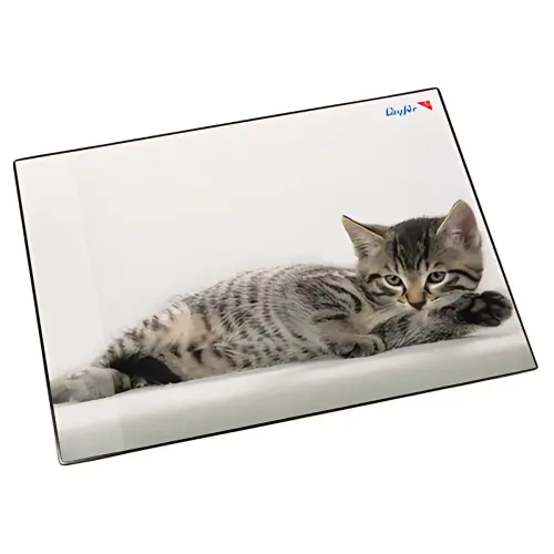 L&auml;ufer Sous-main chat gris, 400 x 530 mm photo du produit