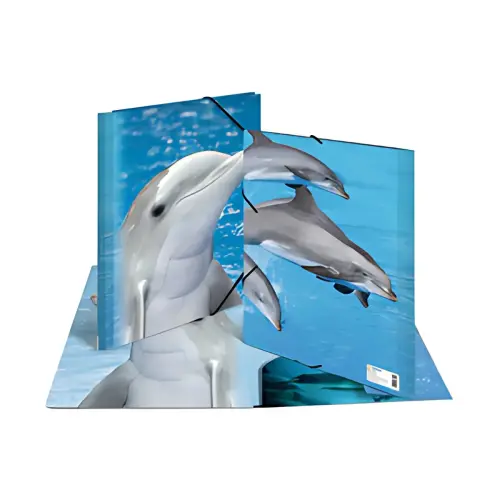 HERMA chemise élastique 'dauphin', transparent, en PP, A3, photo du produit