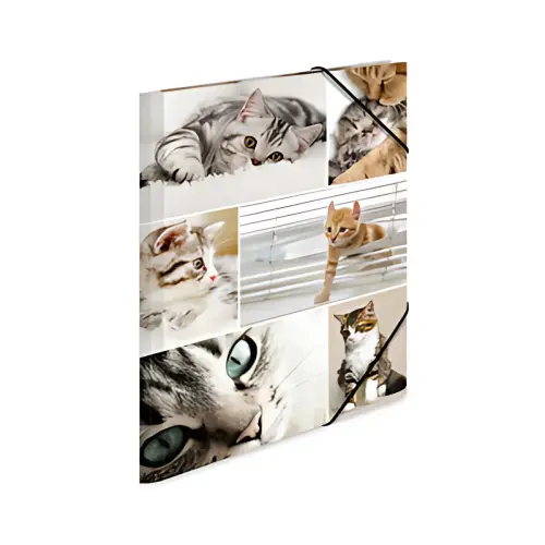 Chemise &agrave; &eacute;lastiques Animaux dafrique - en carton - Herma photo du produit