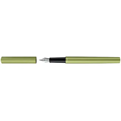 Pelikan Stylo plume Ineo Elements, Green Oasis photo du produit