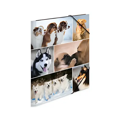 HERMA Chemise à élastiques 'chiens', en carton, photo du produit