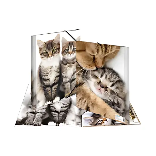 HERMA chemise élastique 'chats', transparent, en PP, A4, photo du produit