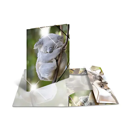 HERMA Chemise à élastiques 'koala', PP Glossy, A4 photo du produit