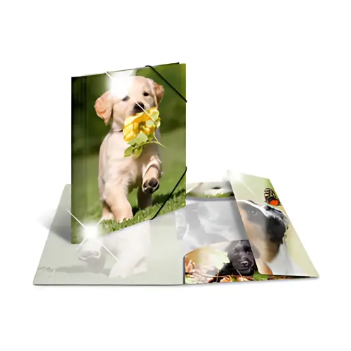 HERMA Chemise à élastiques 'koala', PP Glossy, A4 photo du produit