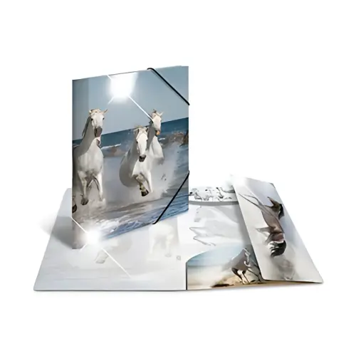 HERMA Chemise à élastiques 'koala', PP Glossy, A4 photo du produit