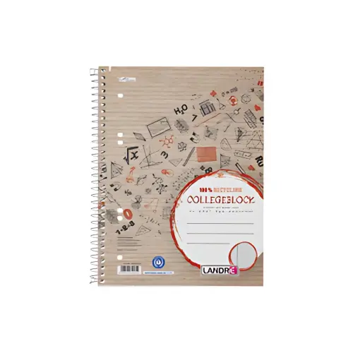 LANDR&Eacute; Cahier 'Recycling' A5+, quadrill&eacute;, 80 feuilles photo du produit