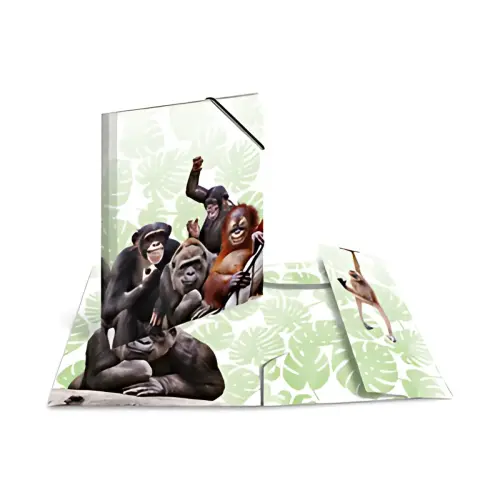 HERMA Chemise à élastiques Animaux exotiques, A4, oiseaux photo du produit