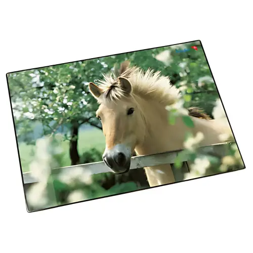 L&auml;ufer Sous-main cheval &agrave; la cl&ocirc;ture, 400 x 530 mm photo du produit