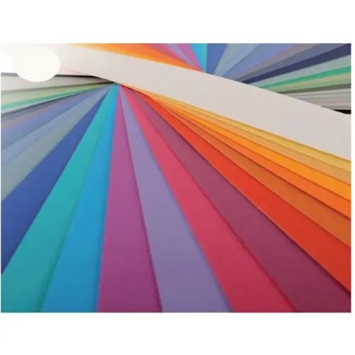 Papiers dessin feuille mi - teinte n111 160g 50x65cm ivoire - Canson photo du produit