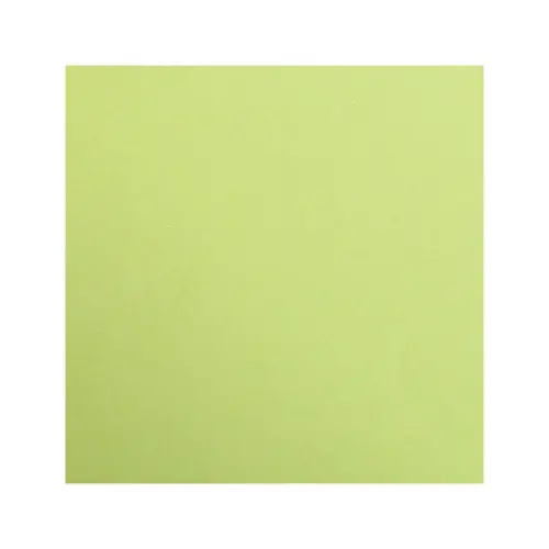 25 feuilles papier Maya 270g 500 x 700 mm - Vert mousse - Clairefontaine photo du produit