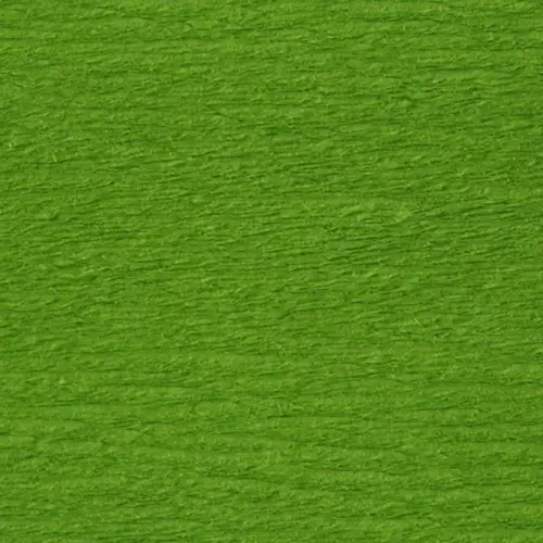 Papier crepon standard 0, 5x2m vert clair 10 feuilles - Clairefontaine photo du produit