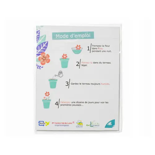 Pack formes printemps en papier ensemenc&eacute; 3, 5 cm 100 pcs blanc - Sodertex loolipo photo du produit