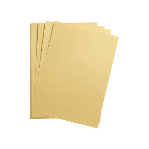 Feuille papier maya 270g 500x700mm or 25 unit&eacute;s - Clairefontaine photo du produit