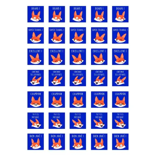 Gommette educative maildor bon points renards 148x210mm 700 unités - Clairefontaine photo du produit