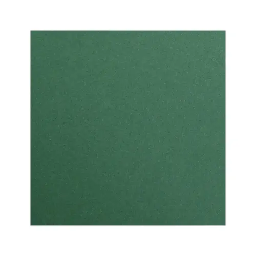 Feuille papier maya 270g 500x700mm vert antique 25u - Clairefontaine photo du produit
