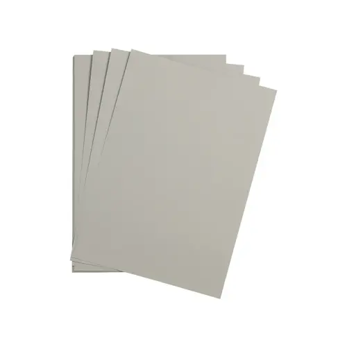 Feuille papier maya 270g 500x700mm gris clair 25 u - Clairefontaine photo du produit