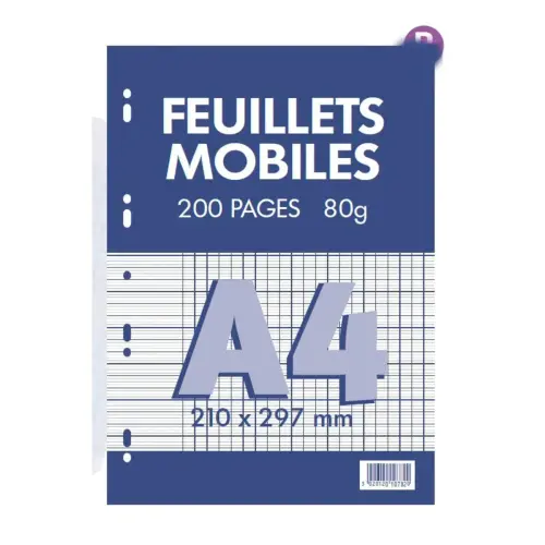 Feuillets mobiles 21x29, 7 cm 200 pages seyes 80g - Conquerant photo du produit