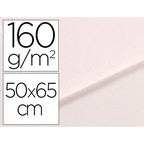 Papiers dessin feuille mi - teintes n335 160g 50x65cm blanc - Canson photo du produit