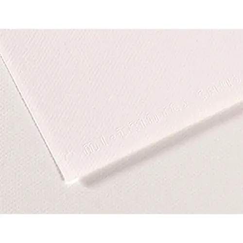 Papiers dessin feuille mi - teintes n335 160g 50x65cm blanc - Canson photo du produit