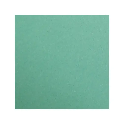 Feuille papier maya 270g 500x700mm vert sapin 25 u - Clairefontaine photo du produit