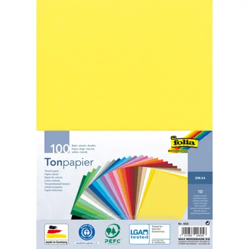 Paquet de 100 feuilles de papier à dessin teinte DIN A4 130g - 10 coloris assortis - Folia photo du produit