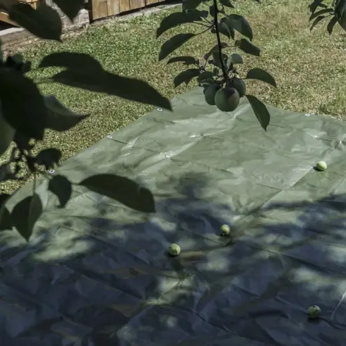 B&acirc;che toile avec oeillets, 3 x 4 m, 150 g, vert - Agriplus photo du produit