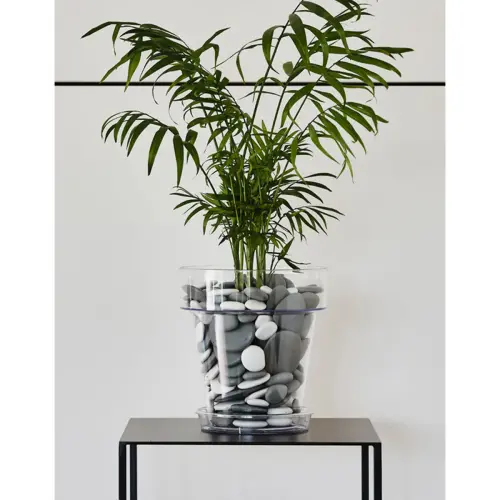 Pot de fleurs 'Porto 16', transparent - Tera photo du produit