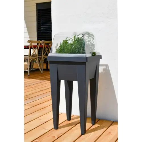 Couvercle pour mini-jardinière 'VEG&Table', transparent - Eda Fontaine photo du produit