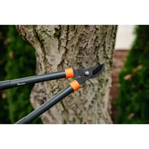 Coupe-branches Bypass V-SERIES, longueur: 430 mm - Bradas photo du produit