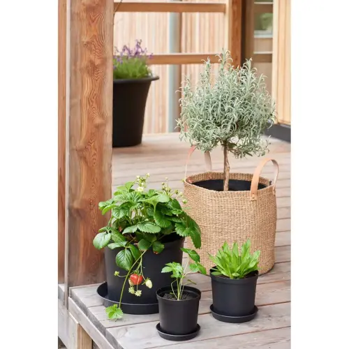 Pot de fleurs CULTIVATE, diamètre: 210 mm, noir - Orthex photo du produit