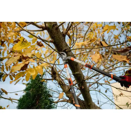Coupe-branches Bypass V-SERIES, télescopique - Bradas photo du produit