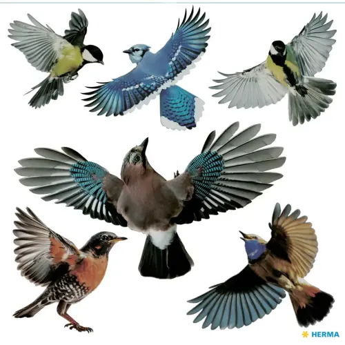 Etiquette de signalisation 'oiseaux', multicolore - Herma photo du produit