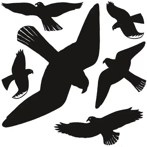 Etiquette de signalisation 'oiseaux', multicolore - Herma photo du produit