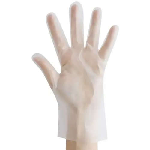 Gant TPE ALLFOOD THERMOSOFT, M, transparent - Hygostar photo du produit