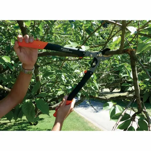 Coupe-branches femmes, longueur : 470 mm - Garten Primus photo du produit