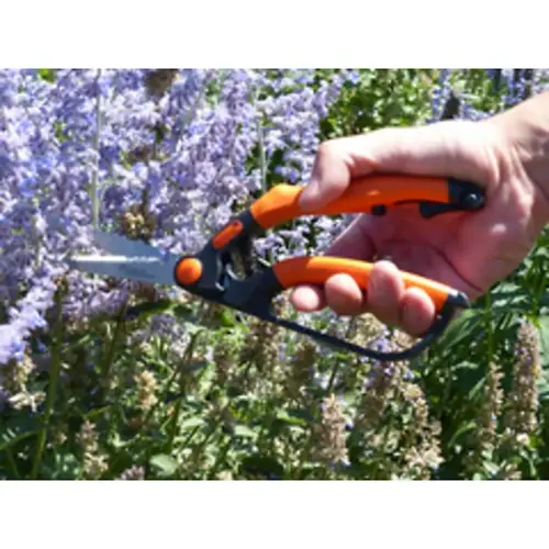 Cisaille à buis, petit, longueur : 260 mm - Garten Primus photo du produit
