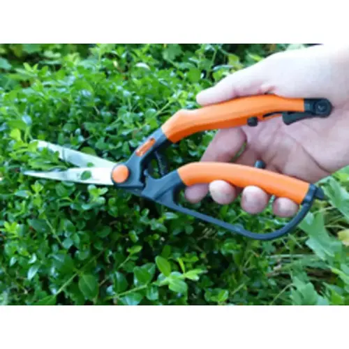 Cisaille à buis, petit, longueur : 260 mm - Garten Primus photo du produit
