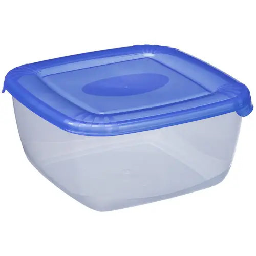 Boîte de congélation Polar, 0,46 litre, bleu - Plast Team photo du produit
