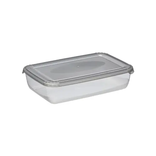 Boîte de congélation Polar, 0,45 litre, gris - Plast Team photo du produit