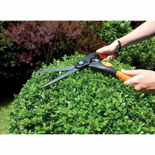 Cisaille à buis, grand, longueur: 435 mm - Garten Primus photo du produit