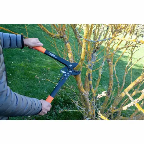 Coupe-branches femmes Dual-Cut, 420 mm - Garten Primus photo du produit
