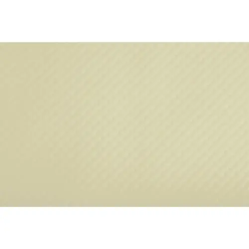 Set de table jetable, 400 x 300 mm, blanc mat - Pronappe photo du produit