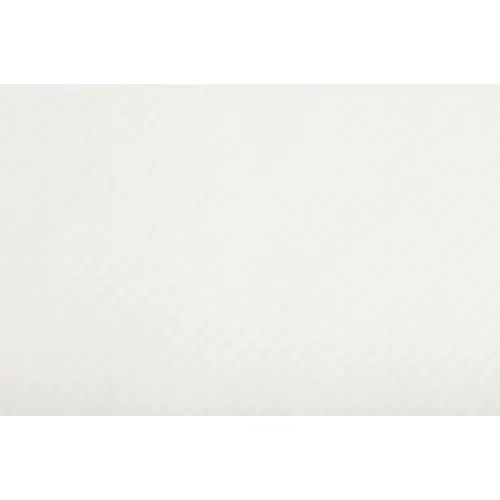 Set de table jetable, 400 x 300 mm, blanc mat - Pronappe photo du produit