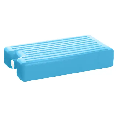 Bloc r&eacute;frig&eacute;rant, petit mod&egrave;le, 250 g, bleu - Plast Team photo du produit