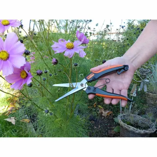 Ciseaux à plantes vivaces & à herbes - Garten Primus photo du produit