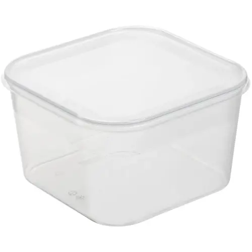 Boîte de congélation Helsinki, 0,9 litre, carré - Plast Team photo du produit