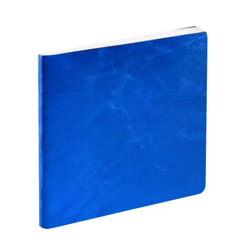 Agenda 2027 Exécutif Color - Semainier Planning Multilingue - Susan Bleu - 13 mois de décembre à décembre - 16x16 cm - Quo Vadis photo du produit