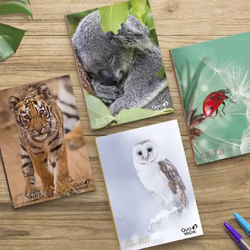 Agenda année scolaire 2026-2027 Eurotextagenda - Journalier - Multilingue - Mes potes à pattes sauvages - Tigre - 12 mois de août à juillet - 12x17 cm - Quo Vadis photo du produit